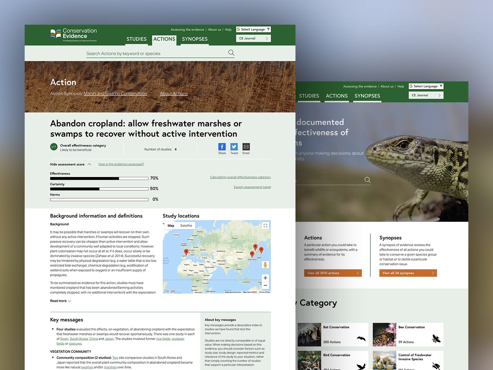 Conservation Evidence Website Design