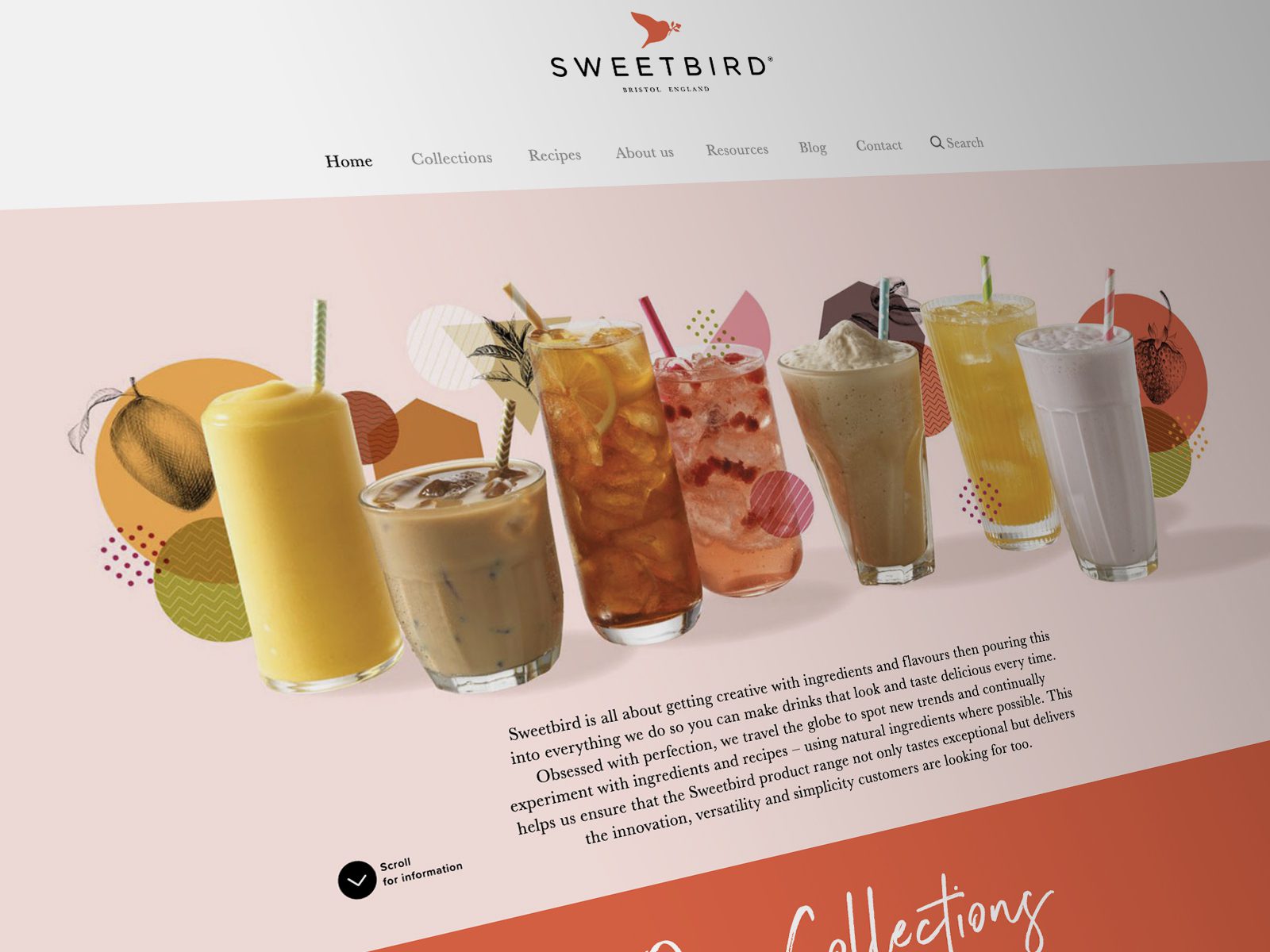 Sweetbird Homepage Website Design