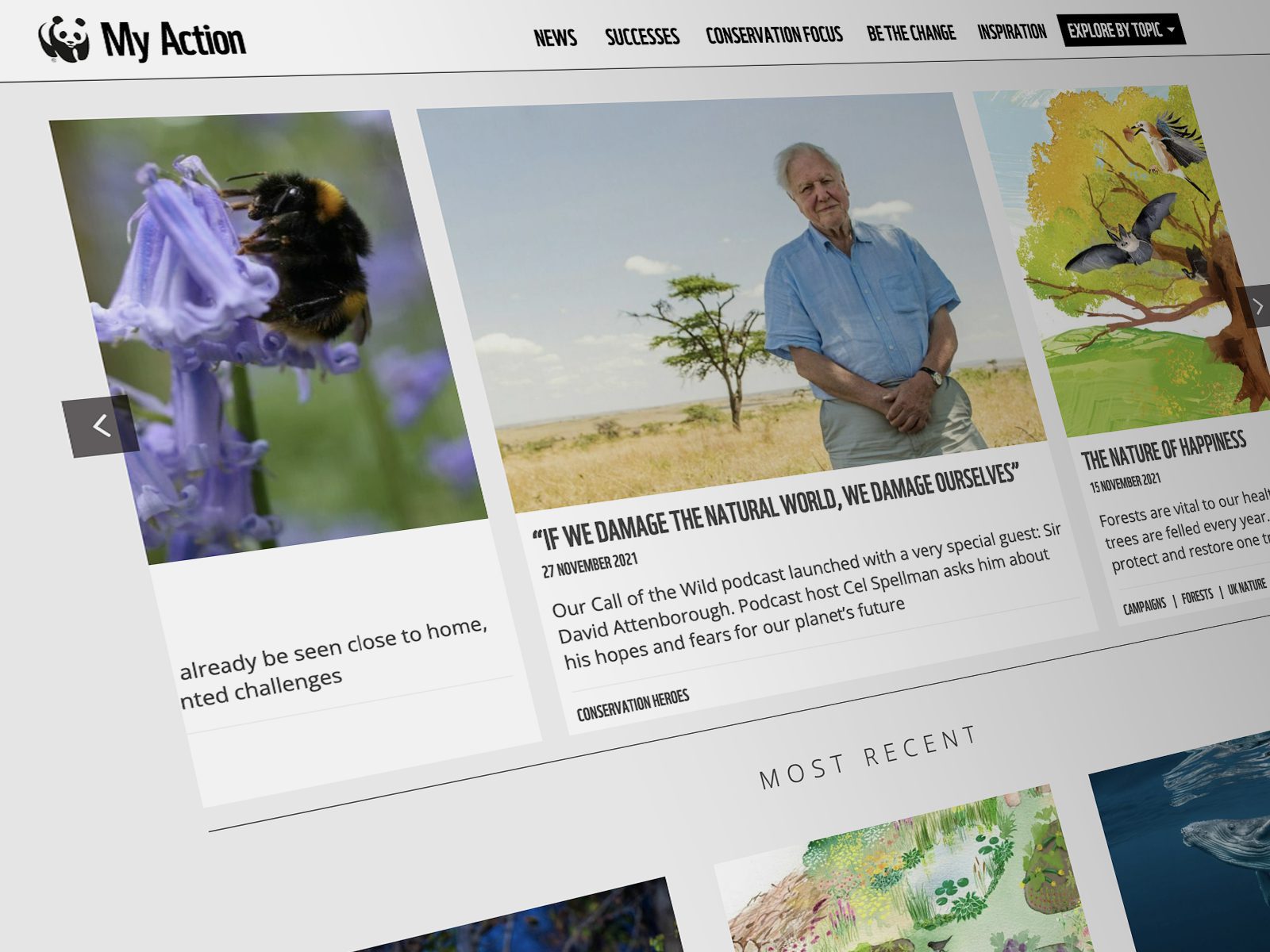 WWF My Action Website Design
