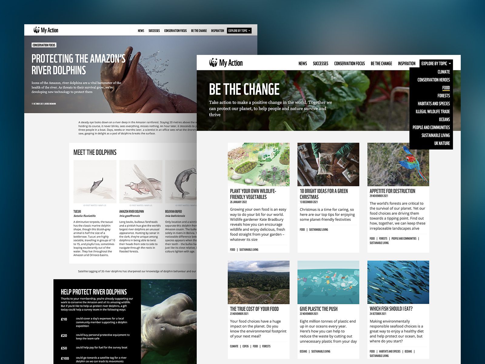 WWF My Action Website Design
