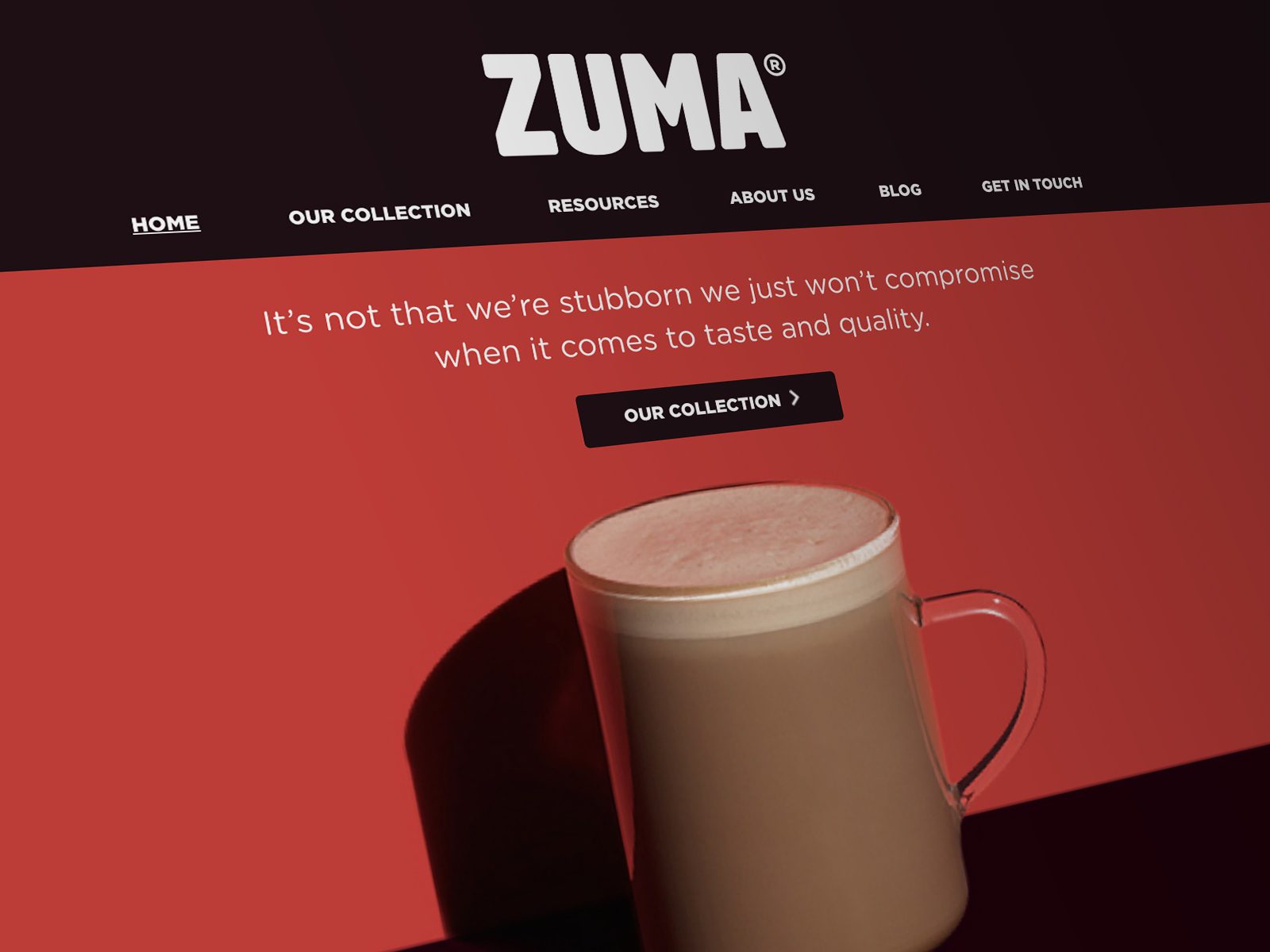 Zuma Homepage Website Design