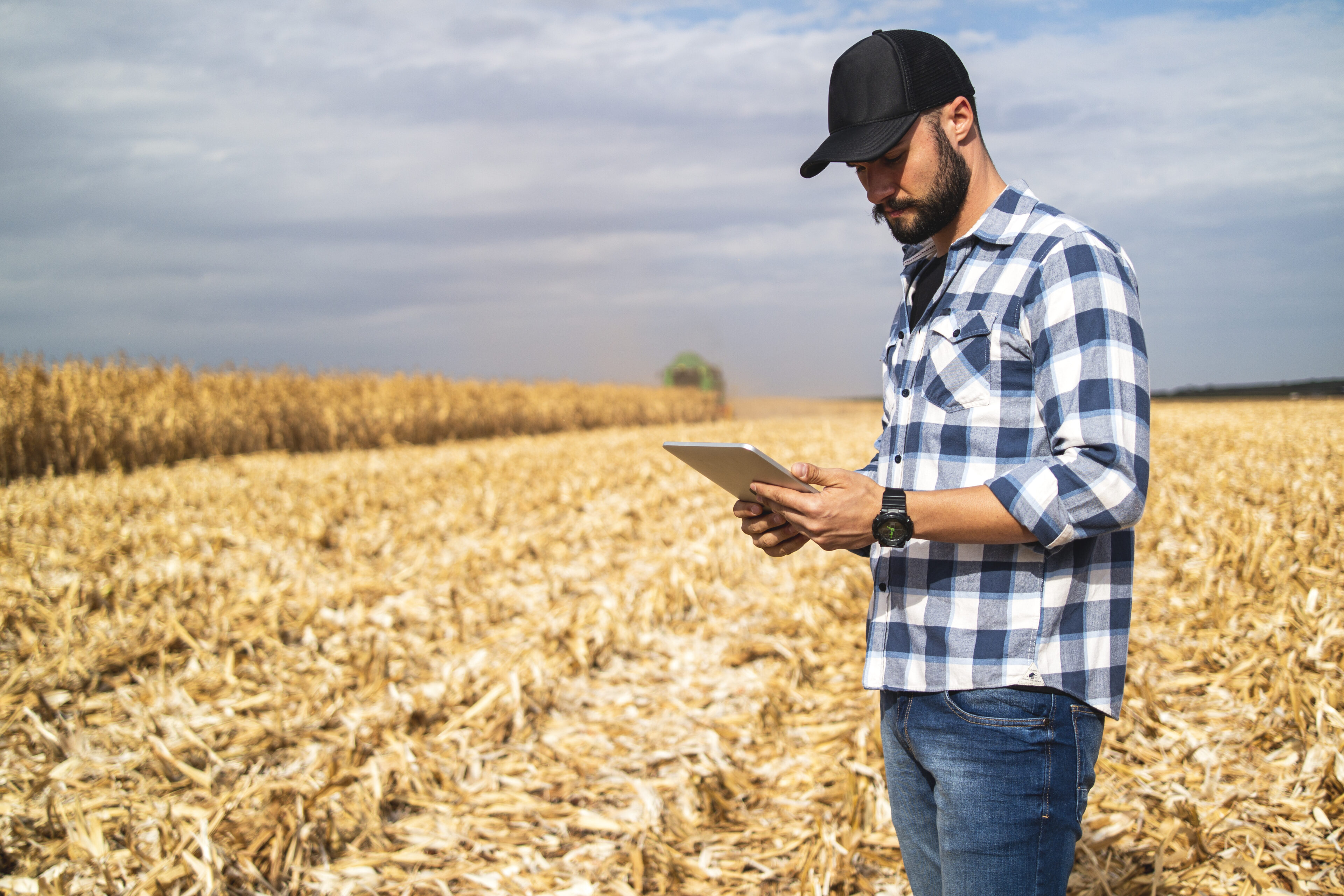 Photo of a man in a corn plantation. Researcher. 